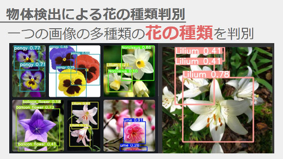 花の種類判別システムの実行結果